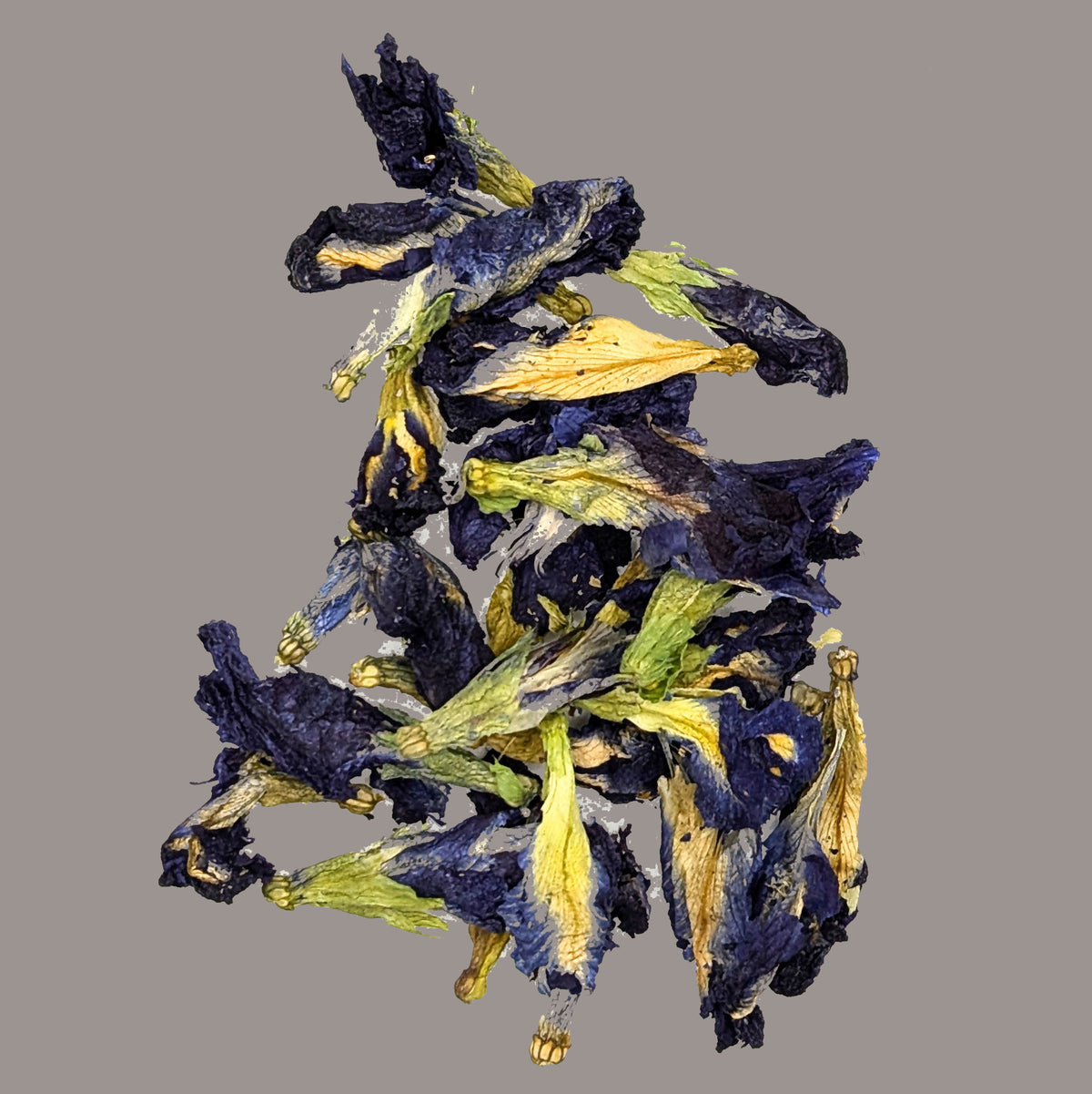 Butterfly Pea Flower