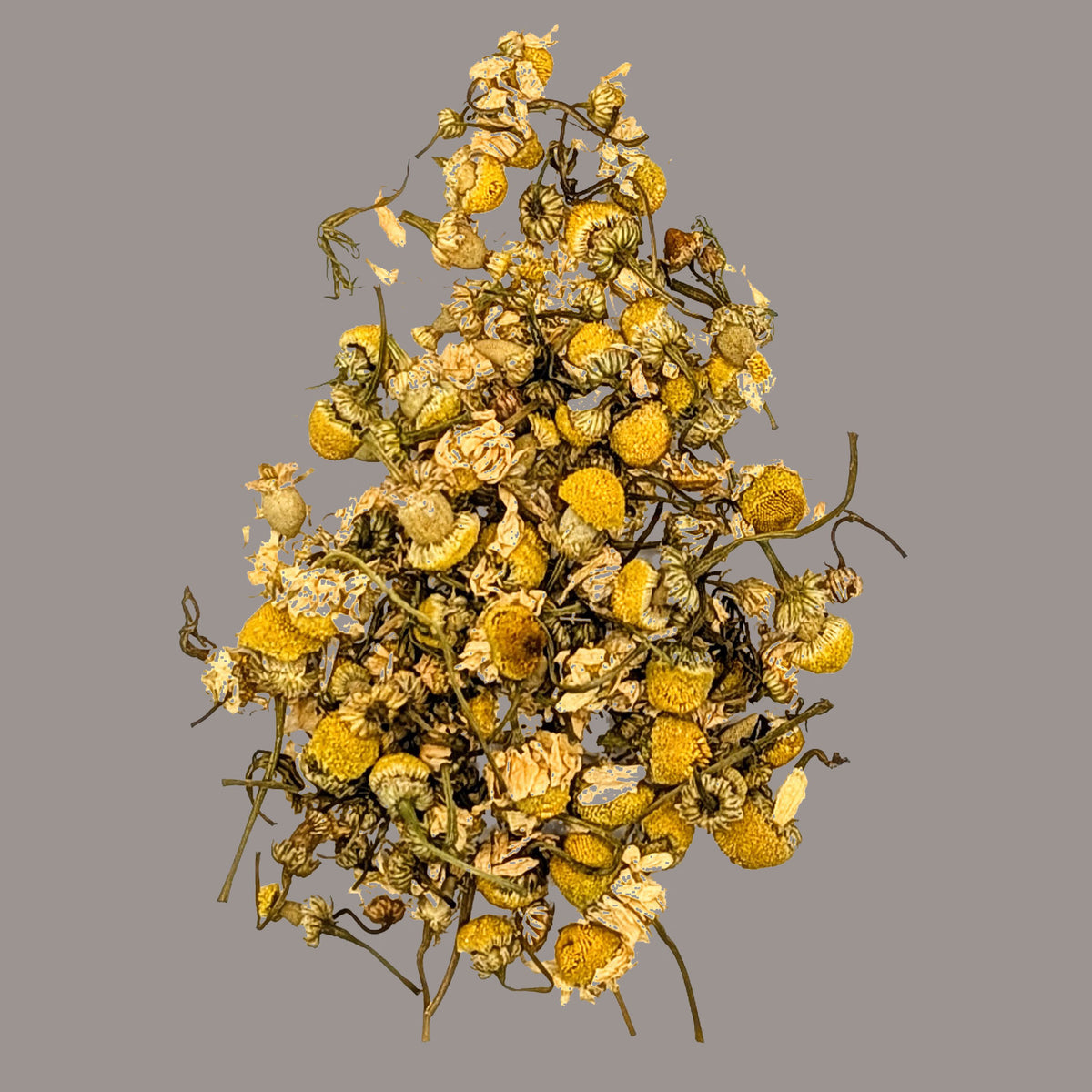 Chamomile
